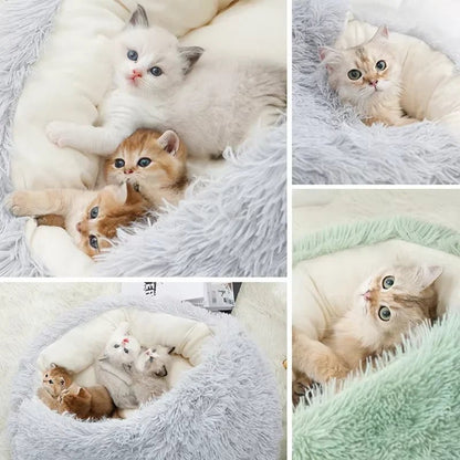 2 - in - 1 Winter Plush Cat Bed: Round cushion cat house, warm basket, and sleep bag for small dogs and cats - PAWSTHENTICS