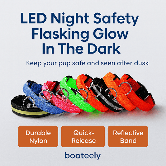 BOOTEELY Nylon LED Night Safety Flashing Glow In The Dark Dog Leash Luminous Fluorescent Collar - PAWSTHENTICS