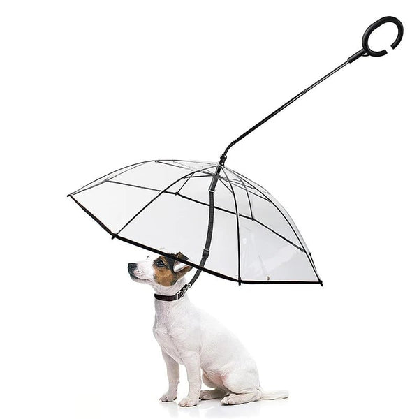 C - Shape Handle Umbrella for Pet with Adjustable Leash For Rain/Snow - PAWSTHENTICS