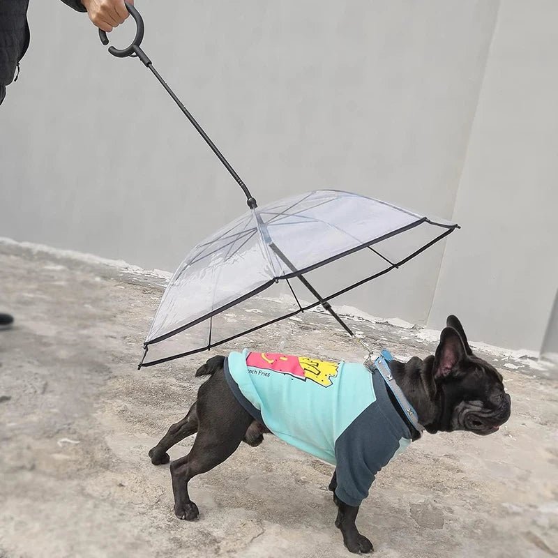 C - Shape Handle Umbrella for Pet with Adjustable Leash For Rain/Snow - PAWSTHENTICS