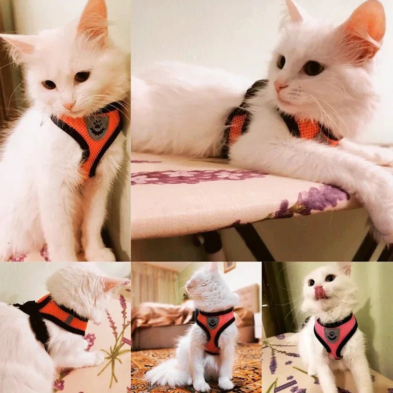 Cat Harness Vest Walking Lead Leash For Puppy Dogs Collar Polyester Adjustable Mesh Dog Harness For Small Medium Pet Accessories - PAWSTHENTICS
