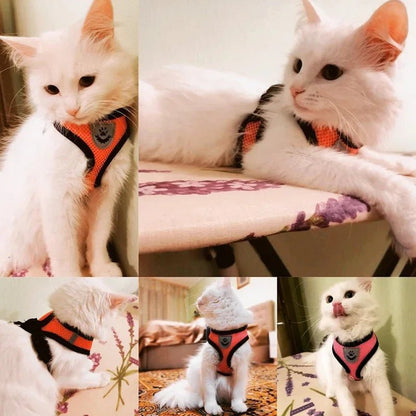 Cat Harness Vest Walking Lead Leash For Puppy Dogs Collar Polyester Adjustable Mesh Dog Harness For Small Medium Pet Accessories - PAWSTHENTICS