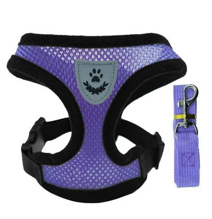 Cat Harness Vest Walking Lead Leash For Puppy Dogs Collar Polyester Adjustable Mesh Dog Harness For Small Medium Pet Accessories - PAWSTHENTICS