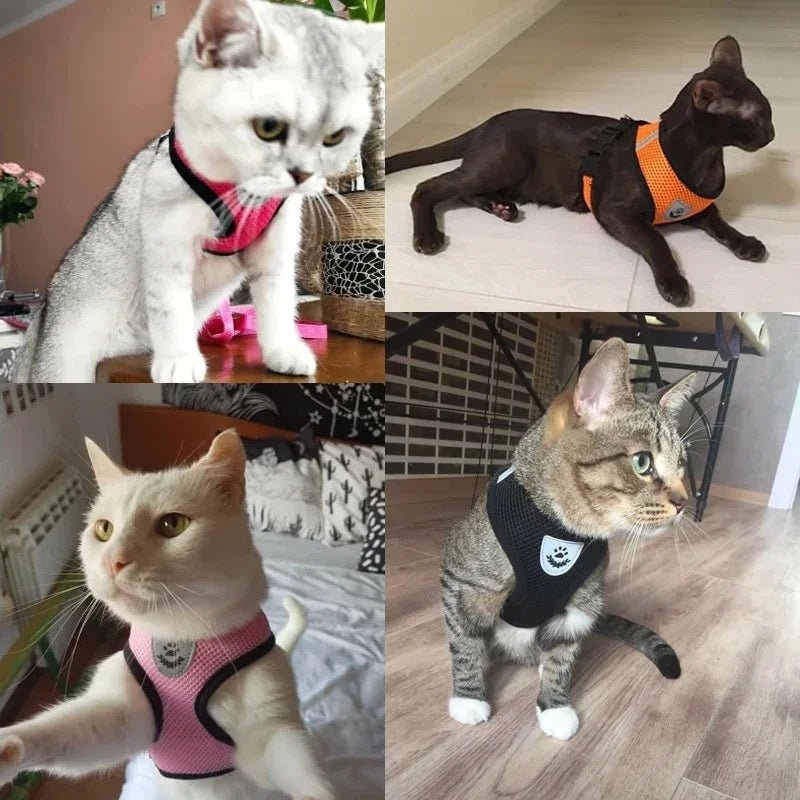 Cat Harness Vest Walking Lead Leash For Puppy Dogs Collar Polyester Adjustable Mesh Dog Harness For Small Medium Pet Accessories - PAWSTHENTICS