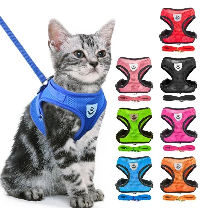Cat Harness Vest Walking Lead Leash For Puppy Dogs Collar Polyester Adjustable Mesh Dog Harness For Small Medium Pet Accessories - PAWSTHENTICS