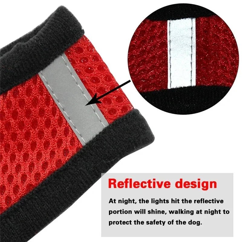 Cat Harness Vest Walking Lead Leash For Puppy Dogs Collar Polyester Adjustable Mesh Dog Harness For Small Medium Pet Accessories - PAWSTHENTICS