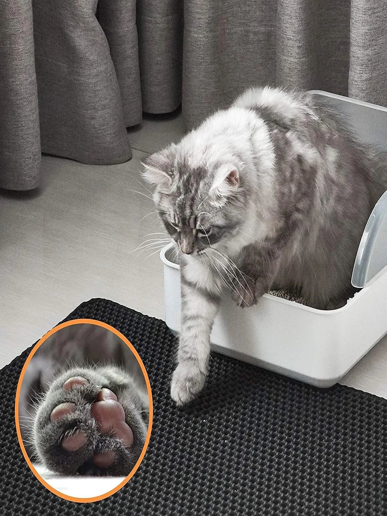 Cat Litter Box Mat - PAWSTHENTICS