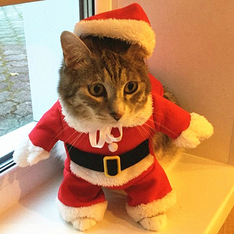 Christmas Cat Costumes Funny Santa Claus Clothes For Small Cats Dogs Xmas New Year Pet Cat Clothing Winter Kitty Kitten Outfits - PAWSTHENTICS
