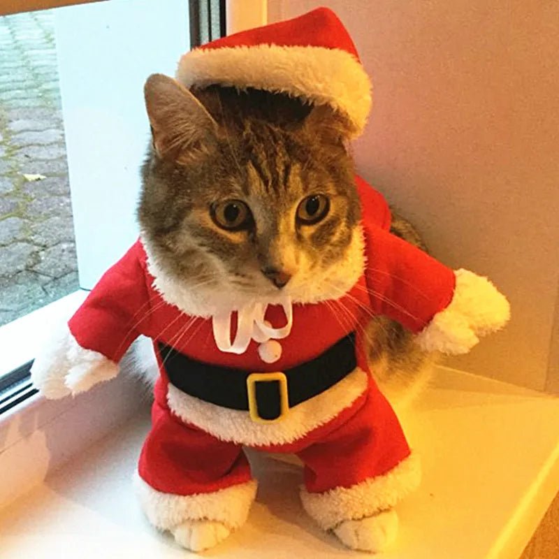 Christmas Cat Costumes Funny Santa Claus Clothes For Small Cats Dogs Xmas New Year Pet Cat Clothing Winter Kitty Kitten Outfits - PAWSTHENTICS