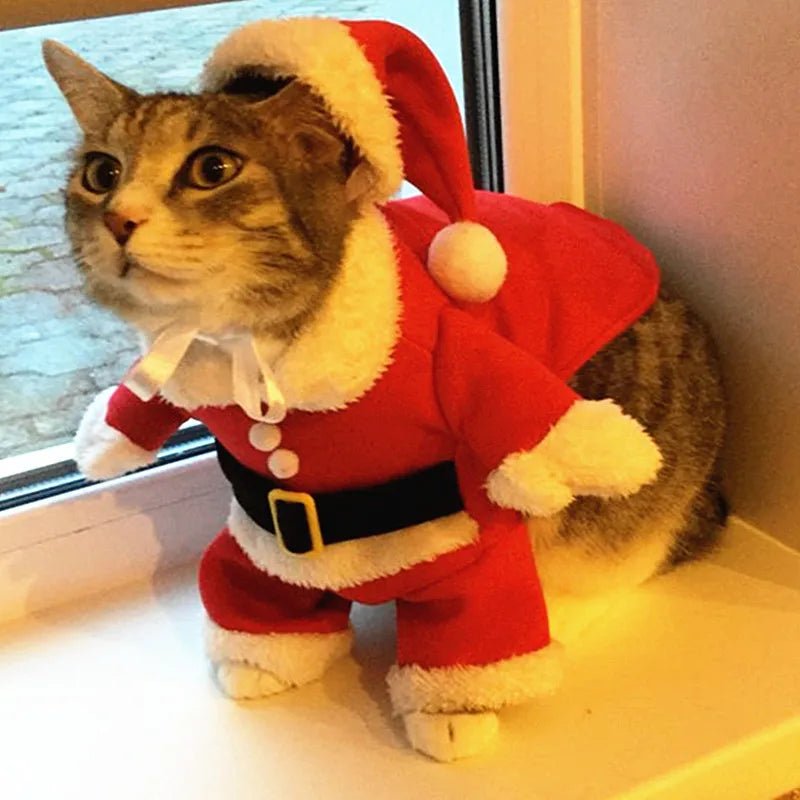 Christmas Cat Costumes Funny Santa Claus Clothes For Small Cats Dogs Xmas New Year Pet Cat Clothing Winter Kitty Kitten Outfits - PAWSTHENTICS