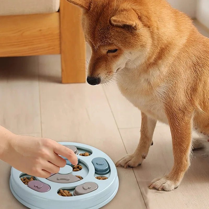 Dog Food Hiding Bowl, Slow Food Training, Dog Educational Toy To Relieve Boredom - PAWSTHENTICS