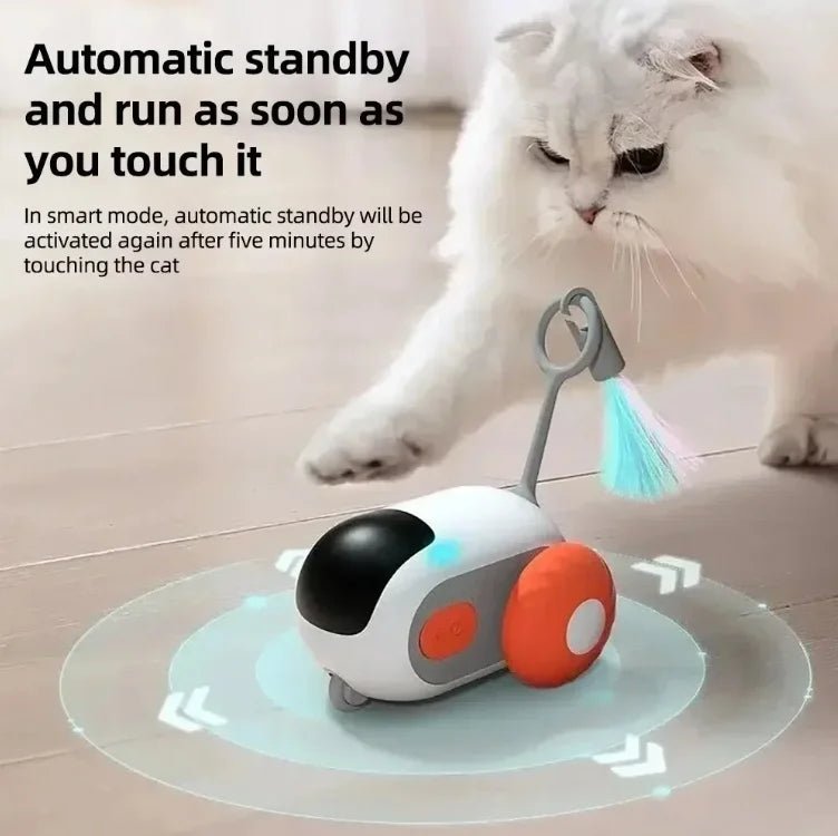 Electric cat toy remote control sports car self entertainment toy suitable for cats indoor interactive intelligent - PAWSTHENTICS