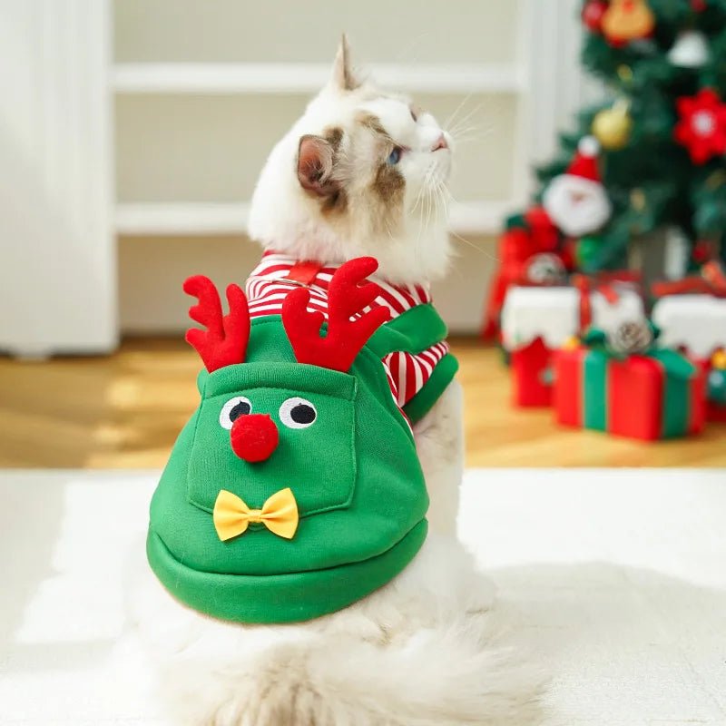 Festive Pet Clothes - PAWSTHENTICS