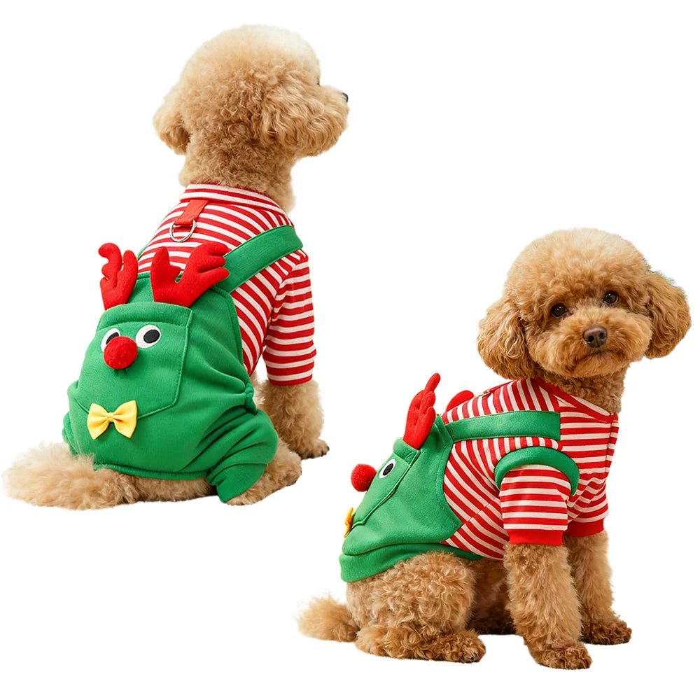 Festive Pet Clothes - PAWSTHENTICS