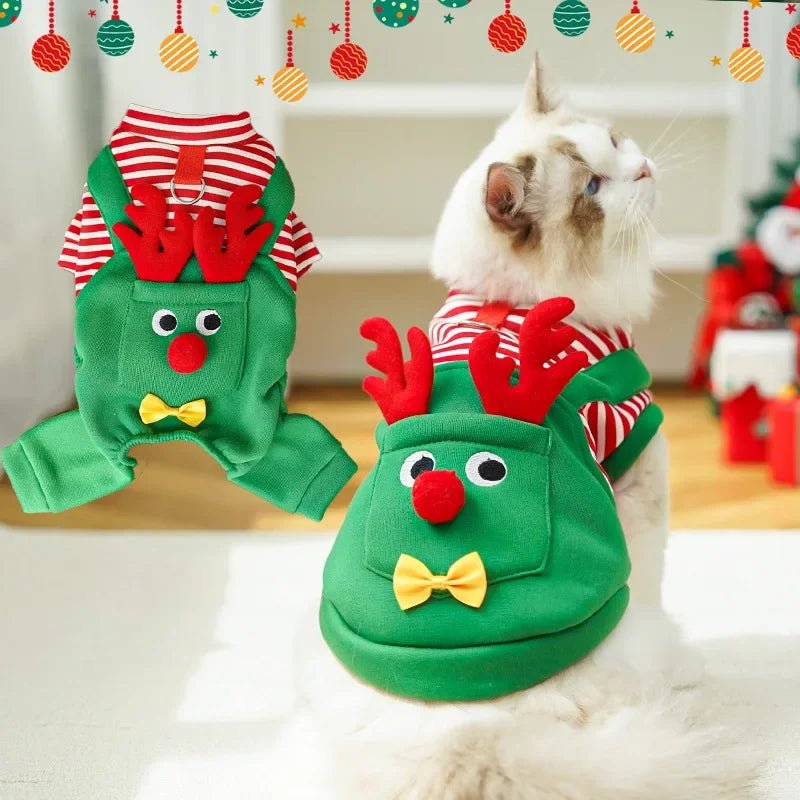 Festive Pet Clothes - PAWSTHENTICS