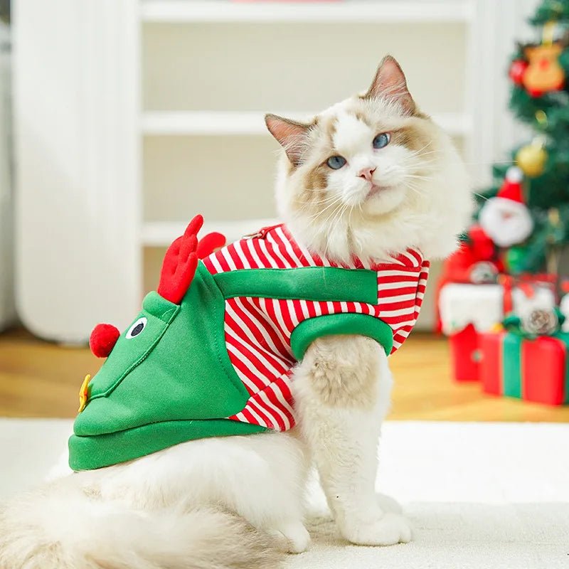 Festive Pet Clothes - PAWSTHENTICS
