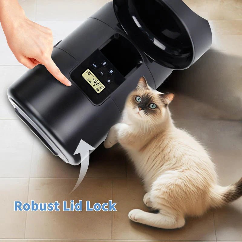HEYBO Automatic Cat Feeder 2L Dry Food Dispenser - PAWSTHENTICS