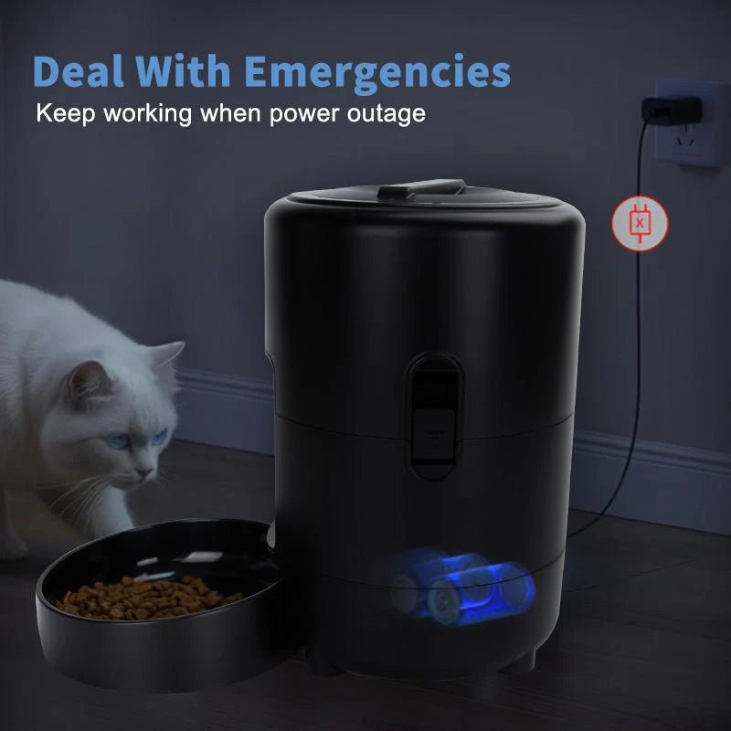 HEYBO Automatic Cat Feeder 2L Dry Food Dispenser - PAWSTHENTICS