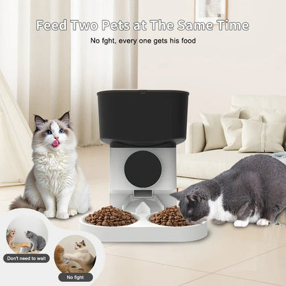 HEYBO Smart Automatic Cat Feeder - 7L - Reliable Automatic Cat Food Dispenser - PAWSTHENTICS