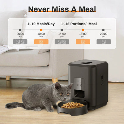 HEYBO Smart Pet Feeder | Automatic, 2L Capacity for Cats & Dogs - PAWSTHENTICS