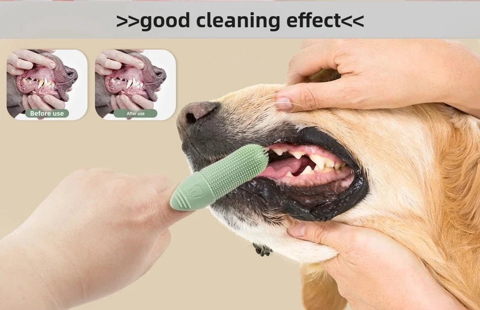 PawBrush™ 360° Finger Toothbrush - PAWSTHENTICS