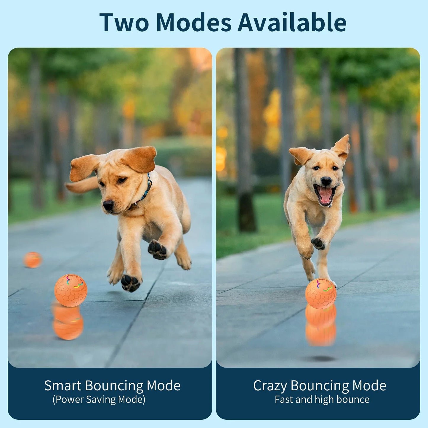 PawMotion™ Smart Toy Ball - PAWSTHENTICS