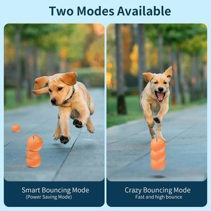 PawMotion™ Smart Toy Ball - PAWSTHENTICS