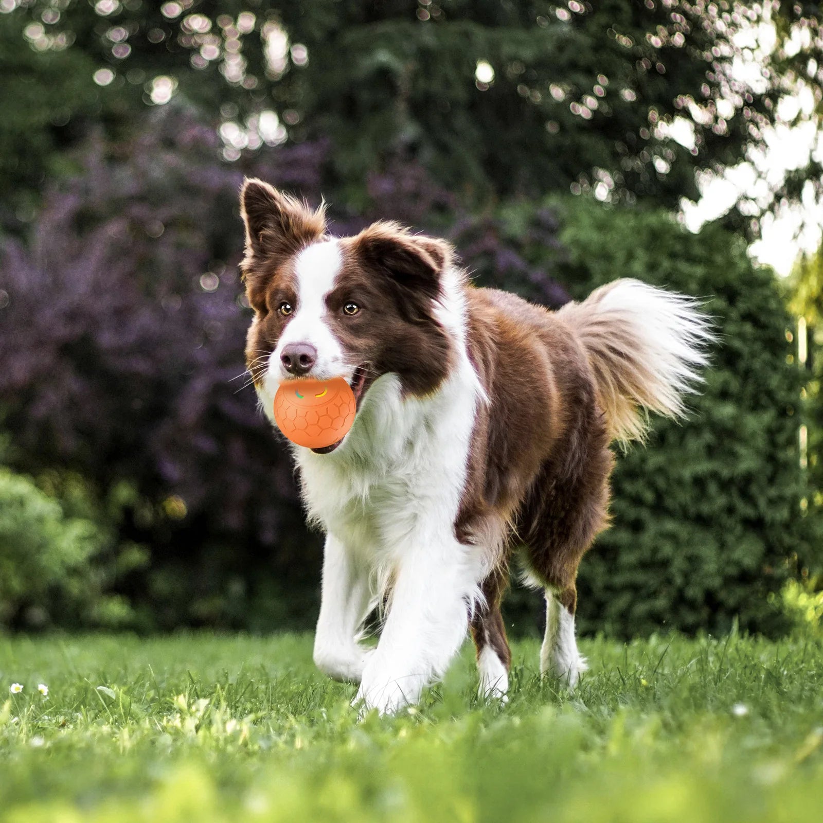 PawMotion™ Smart Toy Ball - PAWSTHENTICS