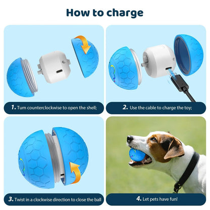 PawMotion™ Smart Toy Ball - PAWSTHENTICS