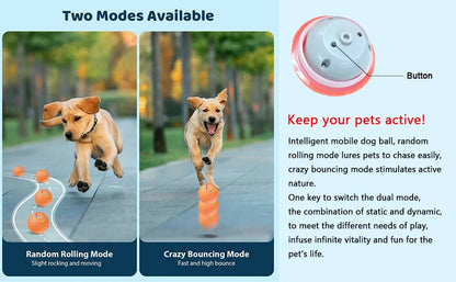 PawMotion™ Smart Toy Ball - PAWSTHENTICS