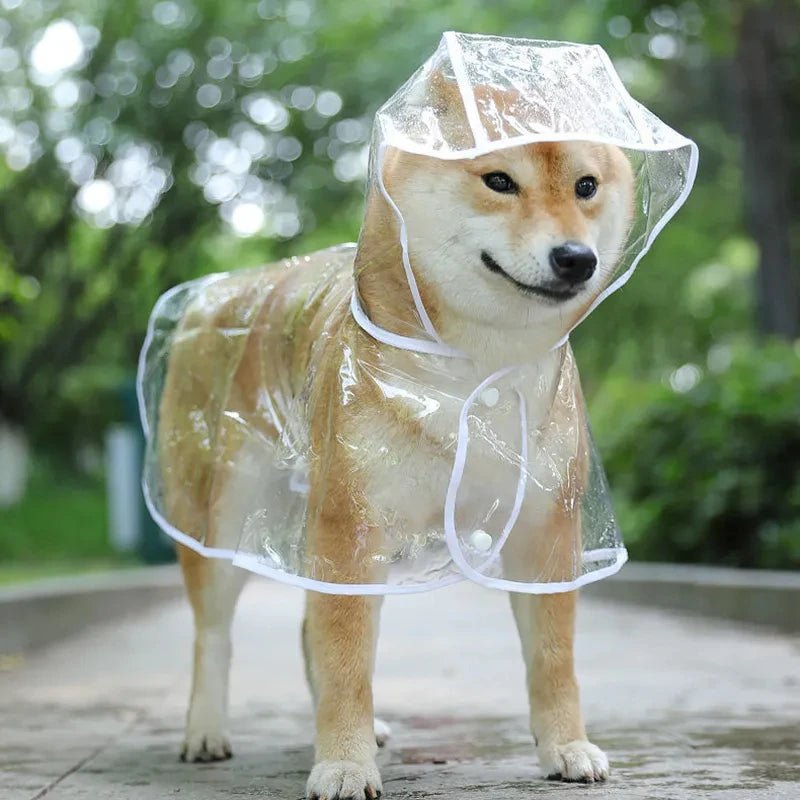 Pet Transparent Rainwear Raincoat Pet Hooded Waterproof Jacket - PAWSTHENTICS