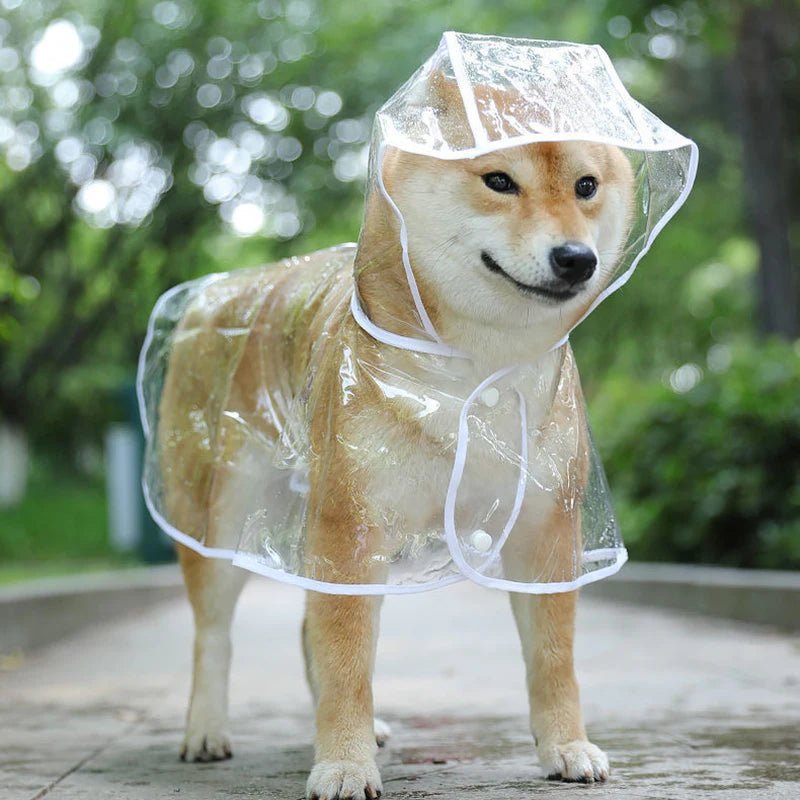 Pet Transparent Rainwear Raincoat Pet Hooded Waterproof Jacket - PAWSTHENTICS