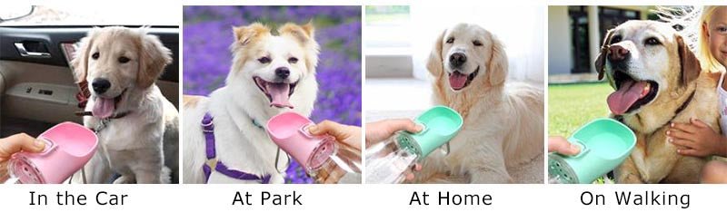 Portable Dog Water Bottle For Small Large Dogs Cat Outdoor Leakproof Walking Drinking - PAWSTHENTICS