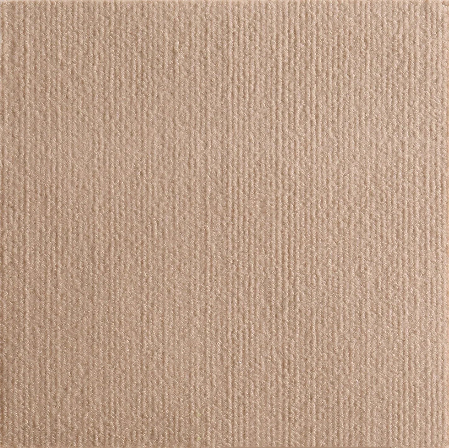 Self - Adhesive Cat Scratch Mat: Trimmable Carpet for Furniture Protection - PAWSTHENTICS