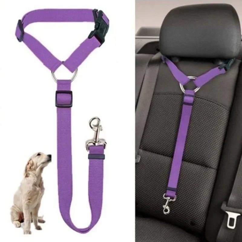 Solid Color Two - in - one Pet Car Seat Belt Nylon Lead Leash Backseat Safety Belt Adjustable Dogs Harness Collar - PAWSTHENTICS