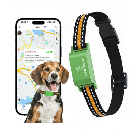 Verdant Trace pet tracker for android phone IOS 4G GPS - PAWSTHENTICS
