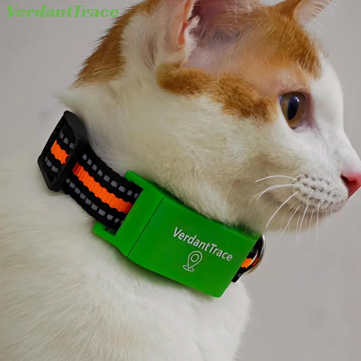 Verdant Trace pet tracker for android phone IOS 4G GPS - PAWSTHENTICS