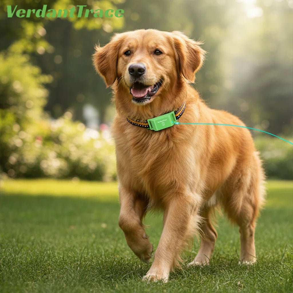 Verdant Trace pet tracker for android phone IOS 4G GPS - PAWSTHENTICS