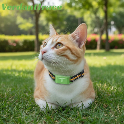 Verdant Trace pet tracker for android phone IOS 4G GPS - PAWSTHENTICS