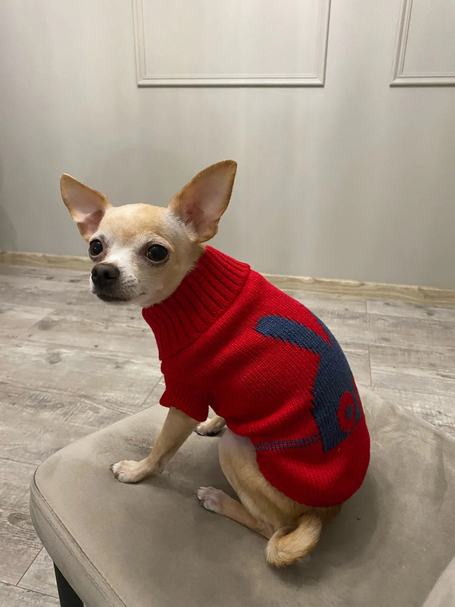 Warm Pet Dog Sweater Winter Dog Clothes for Small Medium Dogs Knitted Puppy Cat Coat Chihuahua French Bulldogs Yorkie Customes - PAWSTHENTICS