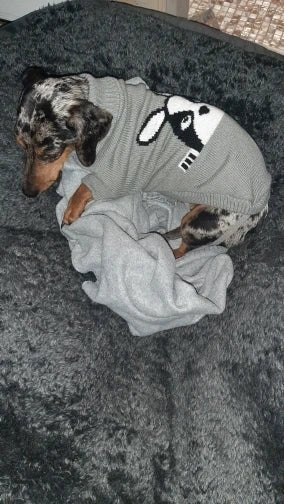 Warm Pet Dog Sweater Winter Dog Clothes for Small Medium Dogs Knitted Puppy Cat Coat Chihuahua French Bulldogs Yorkie Customes - PAWSTHENTICS