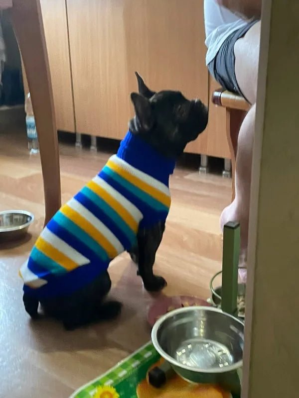 Warm Pet Dog Sweater Winter Dog Clothes for Small Medium Dogs Knitted Puppy Cat Coat Chihuahua French Bulldogs Yorkie Customes - PAWSTHENTICS
