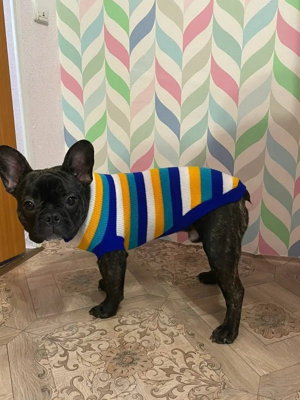Warm Pet Dog Sweater Winter Dog Clothes for Small Medium Dogs Knitted Puppy Cat Coat Chihuahua French Bulldogs Yorkie Customes - PAWSTHENTICS