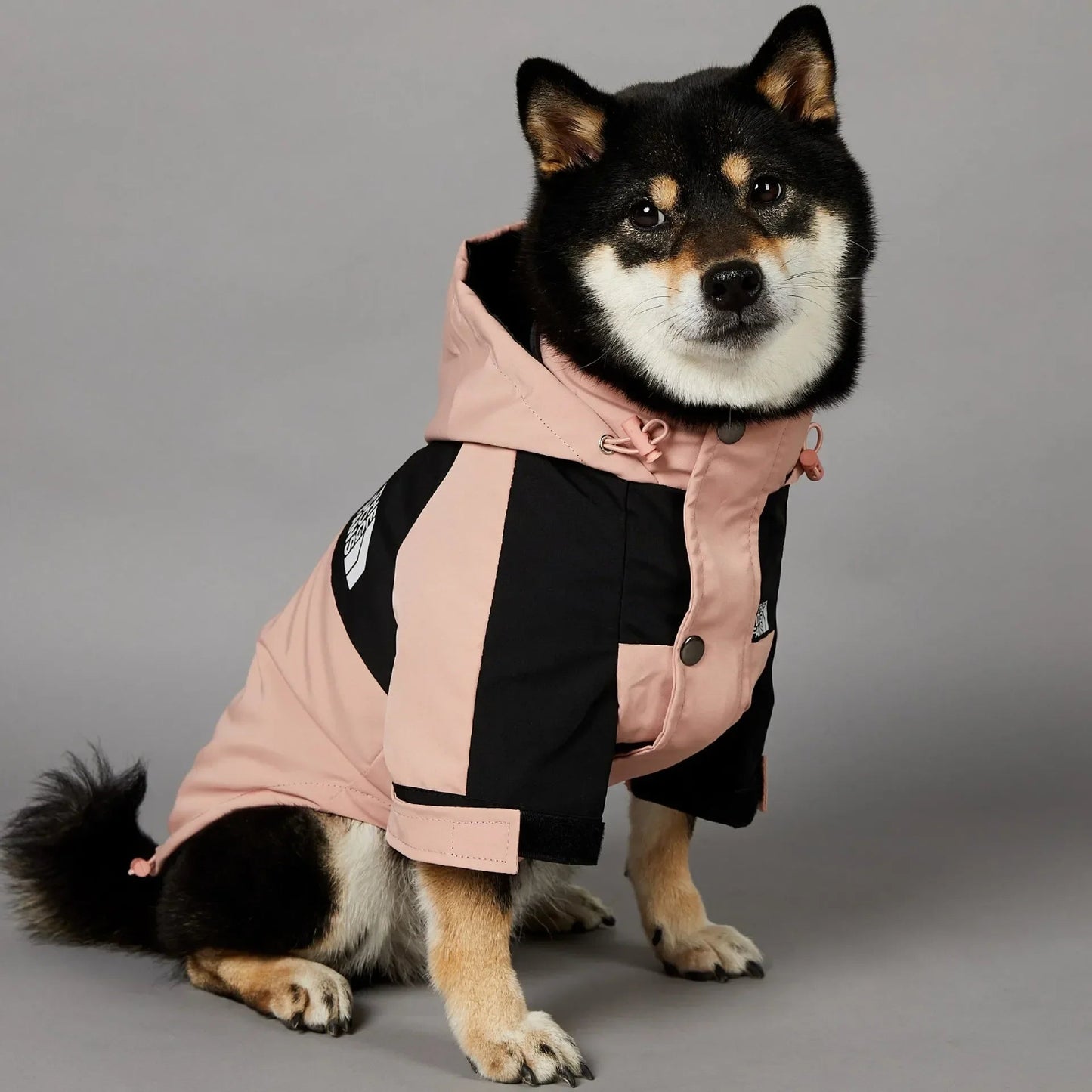 Waterproof Dog Raincoat Clothes - PAWSTHENTICS